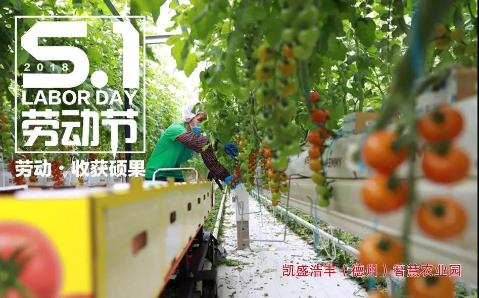 j9����վ�����й����ٷ���վ