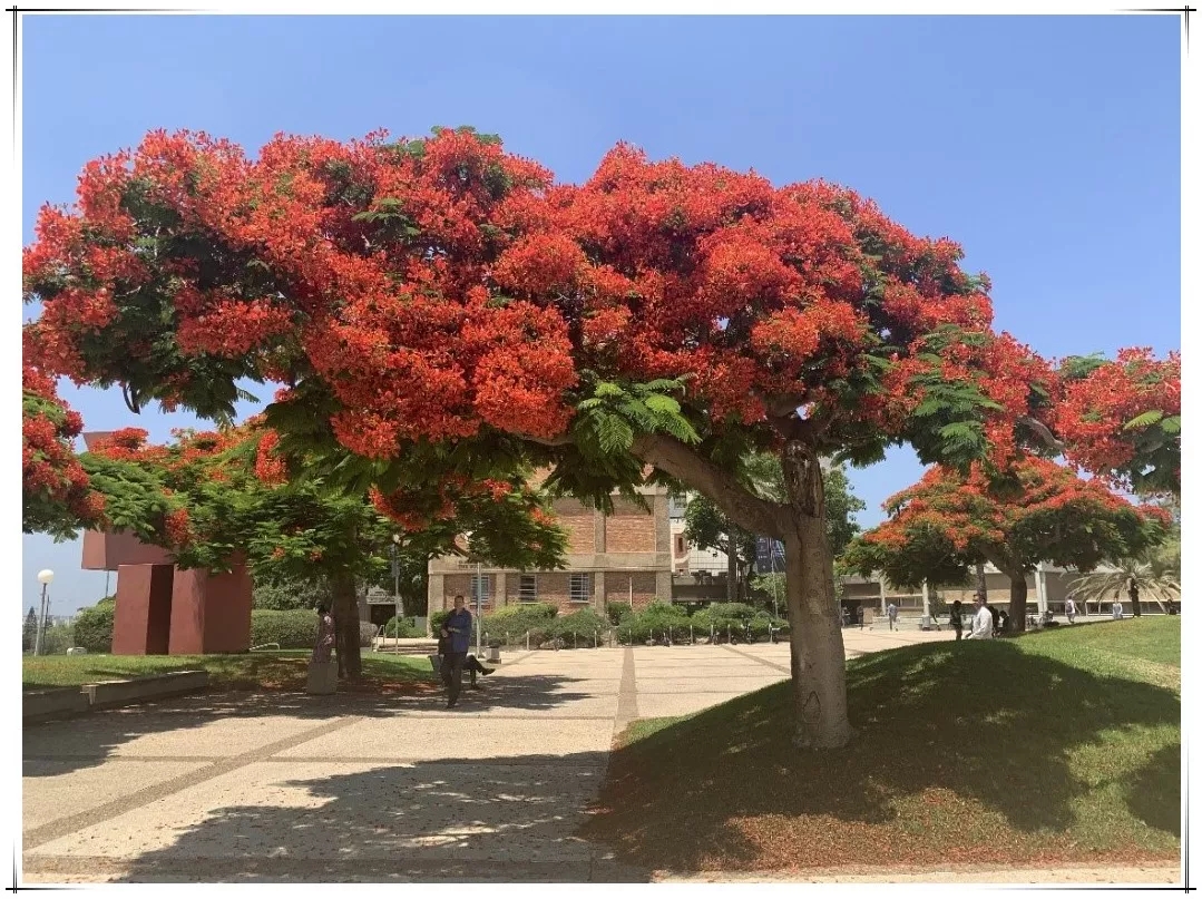 j9����վ�����й����ٷ���վ