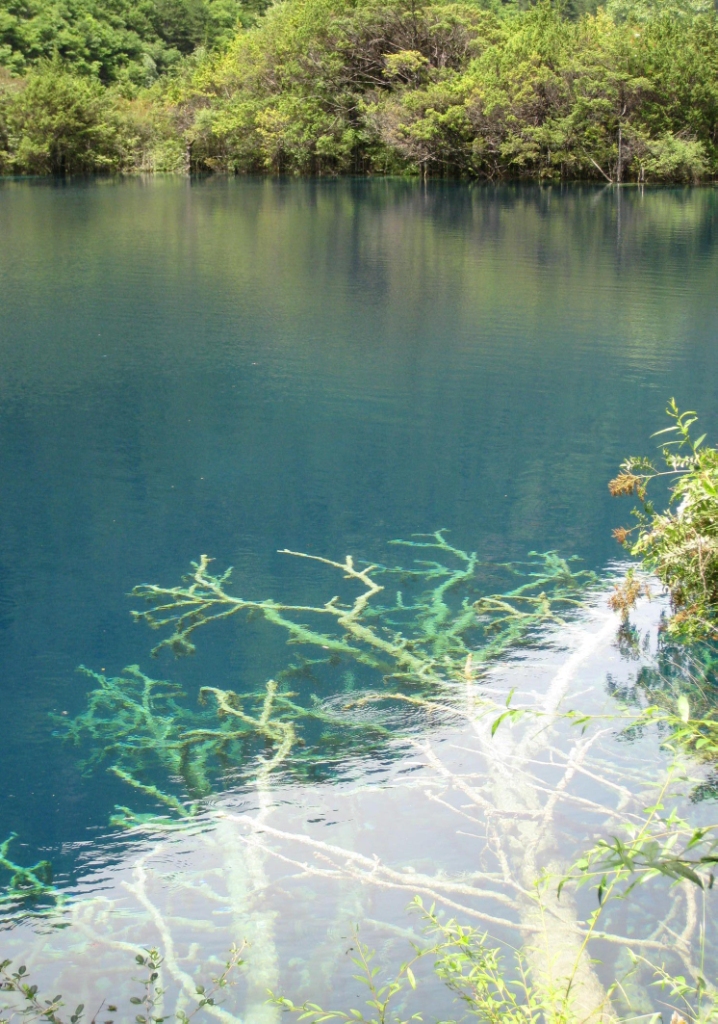 j9����վ�����й����ٷ���վ