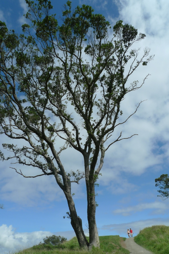 j9����վ�����й����ٷ���վ