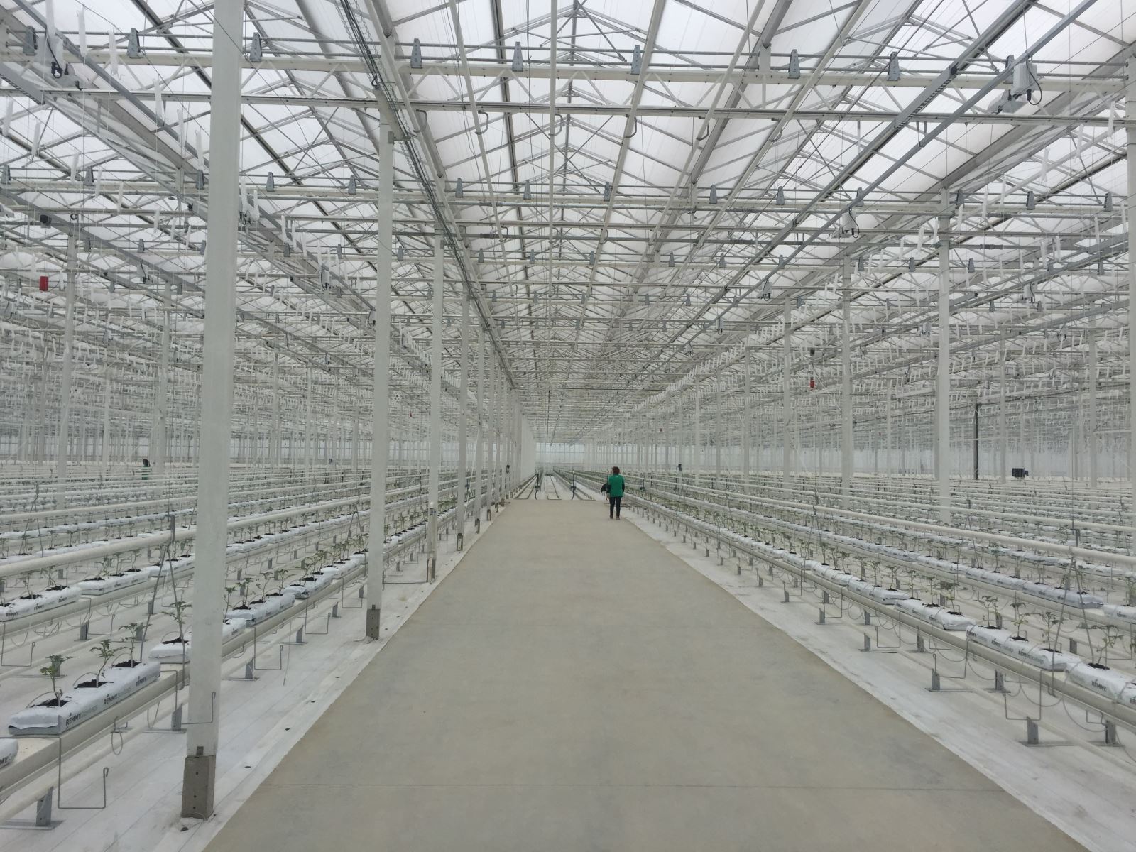 j9国际站·「中国」官方网站