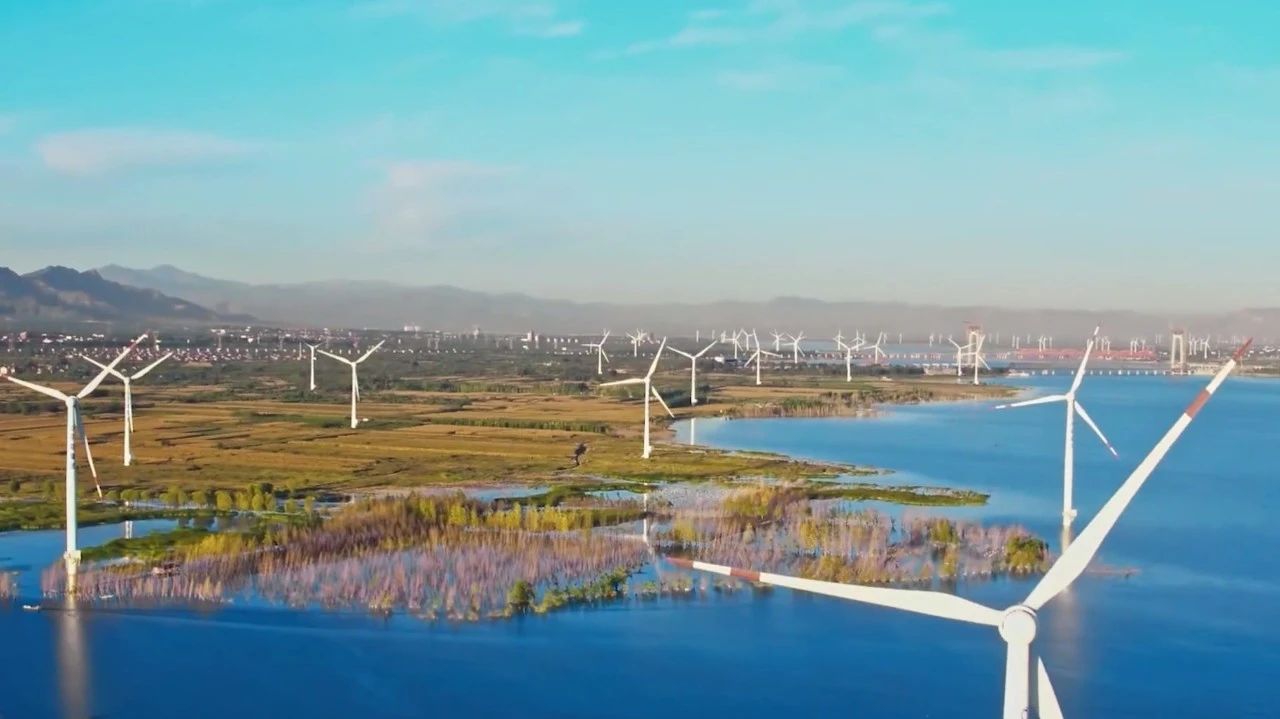 �����Ƿ��е�����