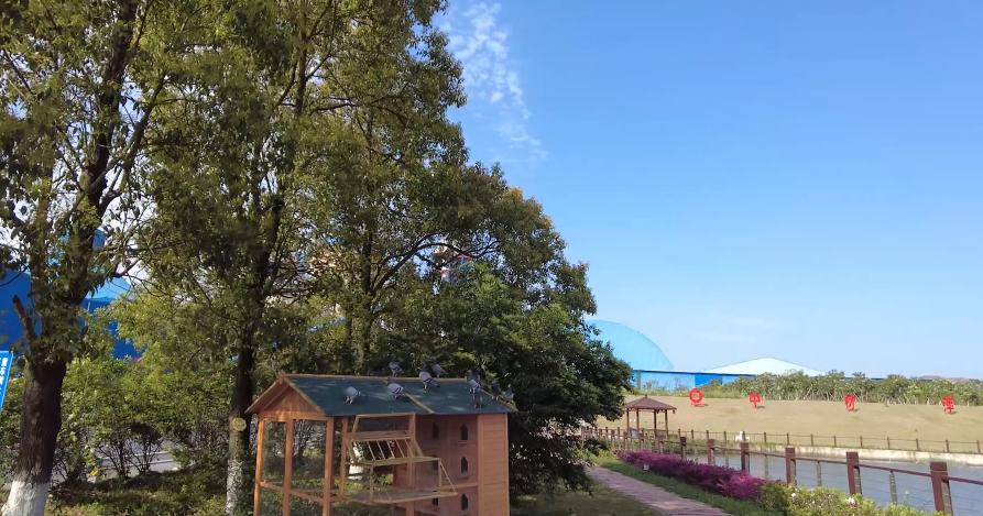 ������ʱ�⣬������������԰������������