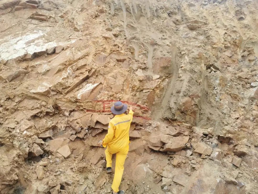 j9����վ�����й����ٷ���վ